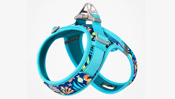 Peitoral azul estampado com fecho e argola de metal