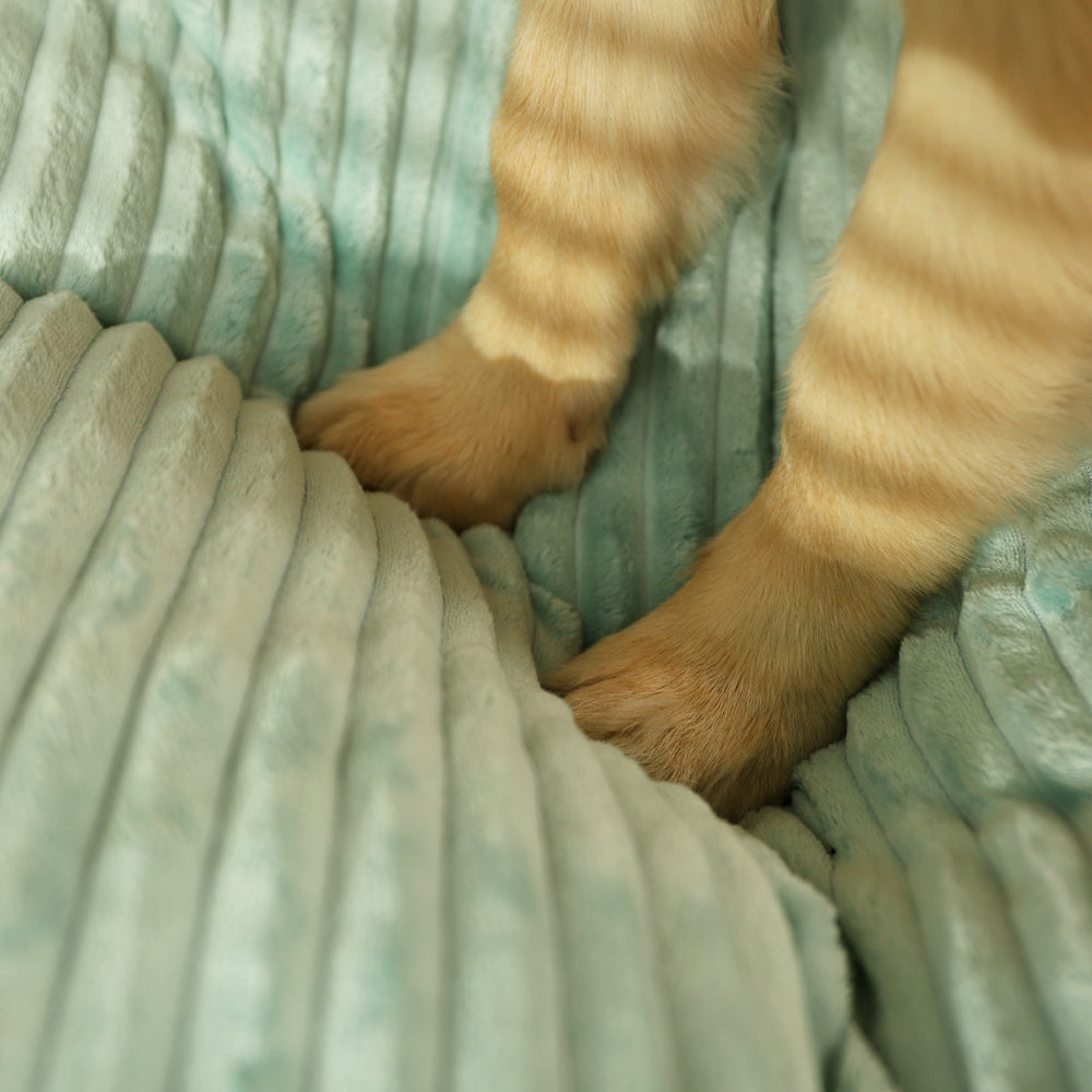 Caminha Pet Heaven