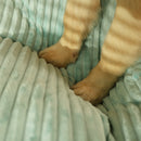Caminha Pet Heaven