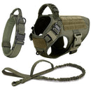 Kit Special force