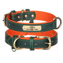 Coleira Beagle Gravada
