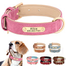 Coleira Beagle Gravada
