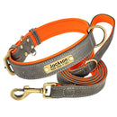 Coleira Pinscher Gravada + Guia Grátis