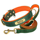 Coleira Pinscher Gravada + Guia Grátis