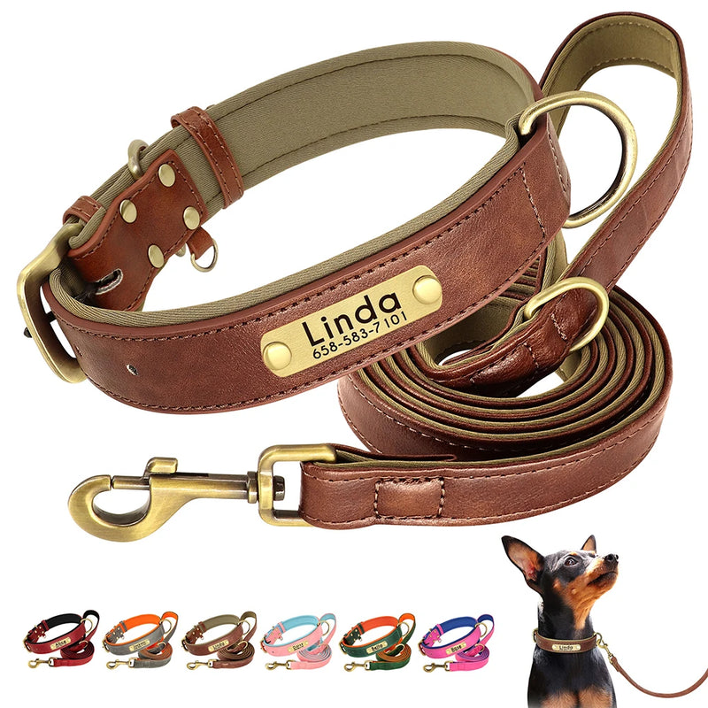 Coleira Pinscher Gravada + Guia Grátis