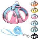 Peitoral Dog Outdoor
