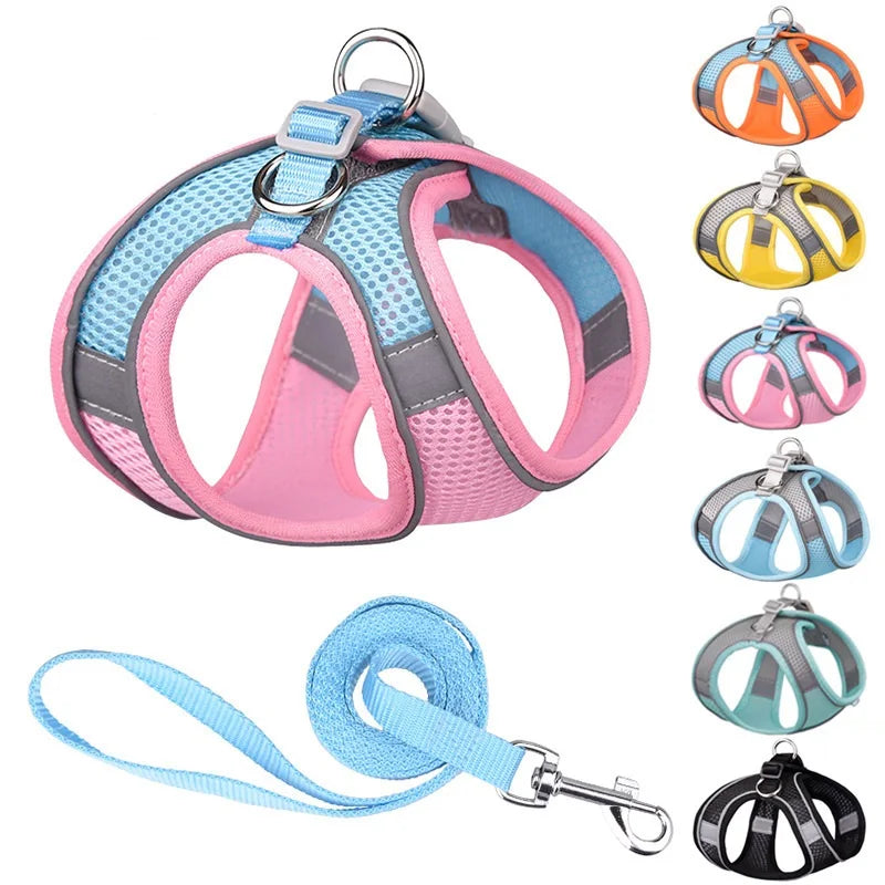 Peitoral Dog Outdoor