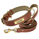 Coleira Pinscher Gravada + Guia Grátis