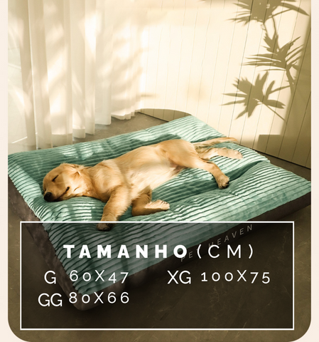 Caminha Pet Heaven