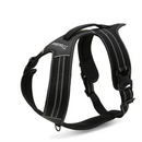 Peitoral Truelove Robust