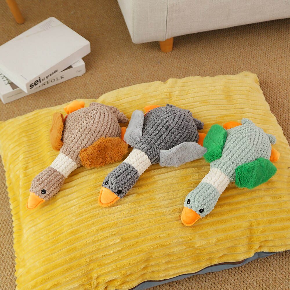 Pato