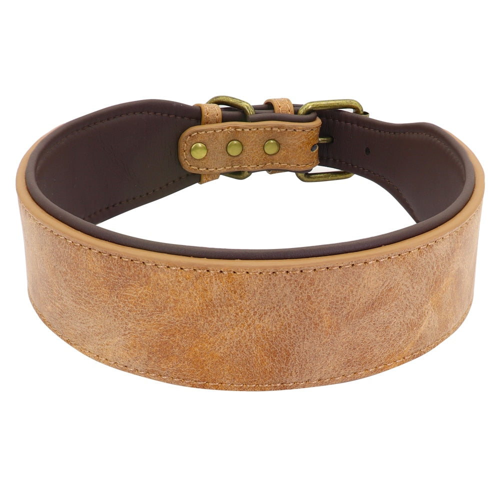 Coleira Perro - Couro