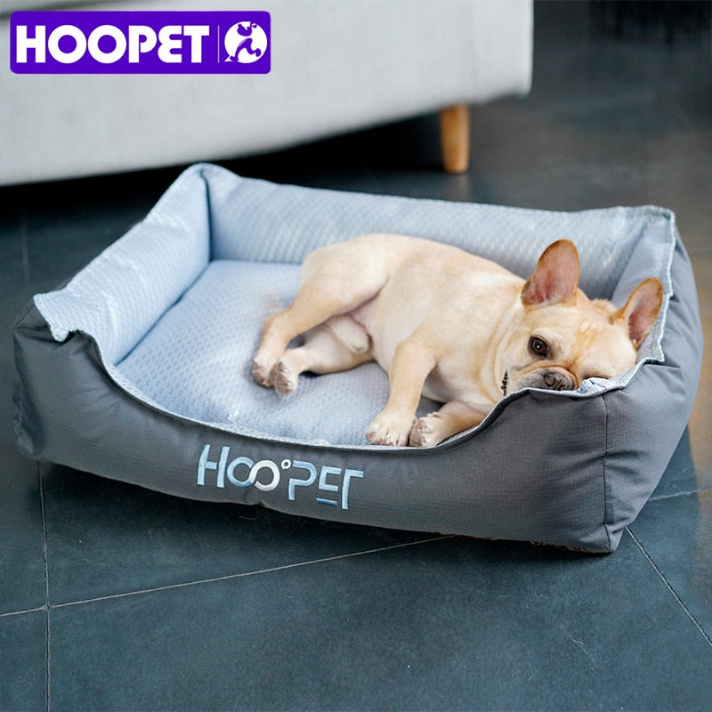 Caminha Floppy