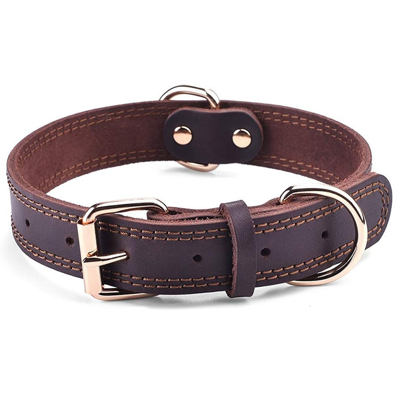 Coleira Couro Vintage