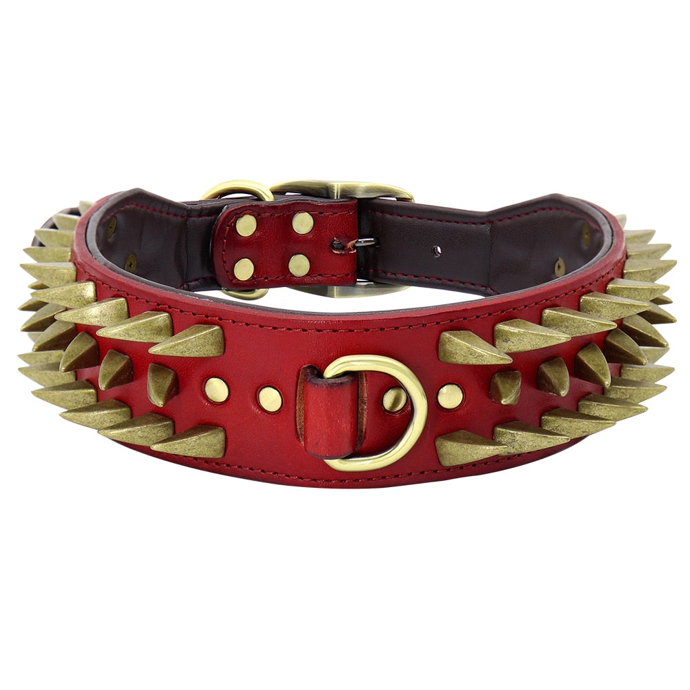 Coleira Spiked Couro