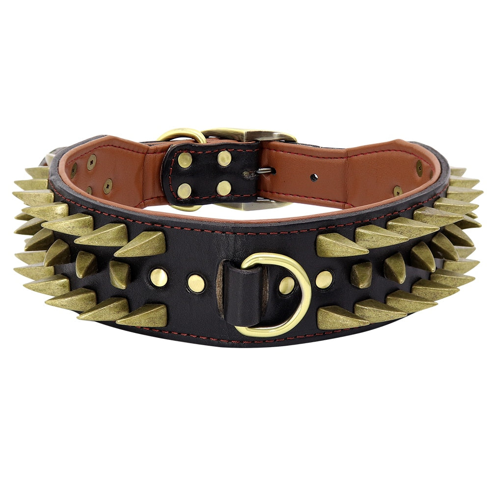 Coleira Spiked Couro
