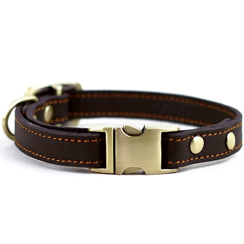 Coleira Couro Comfort