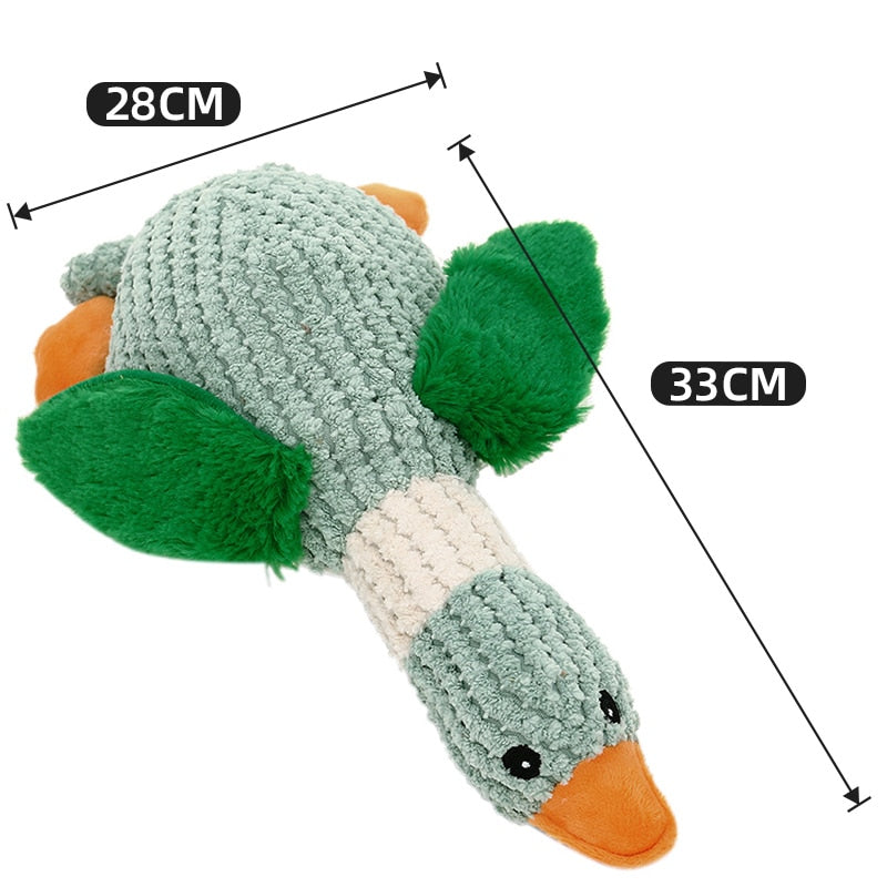 Pato