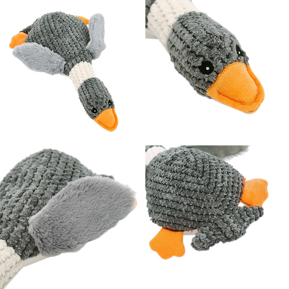 Pato