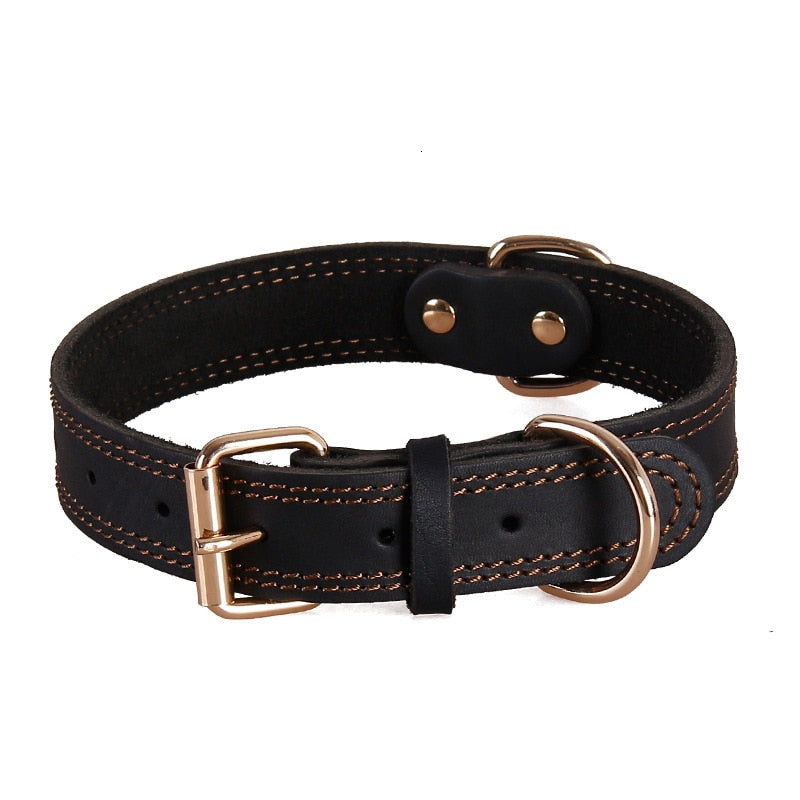 Coleira Couro Vintage