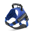Peitoral Truelove Chest