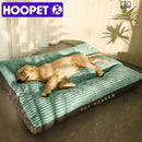 Caminha Pet Heaven