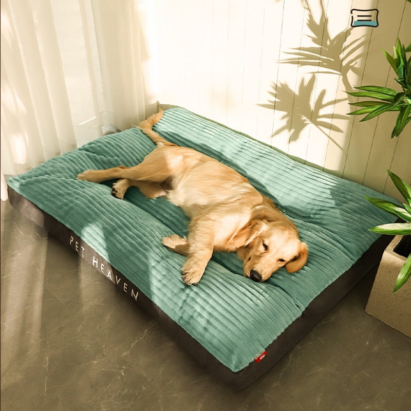 Caminha Pet Heaven