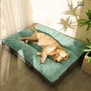 Caminha Pet Heaven