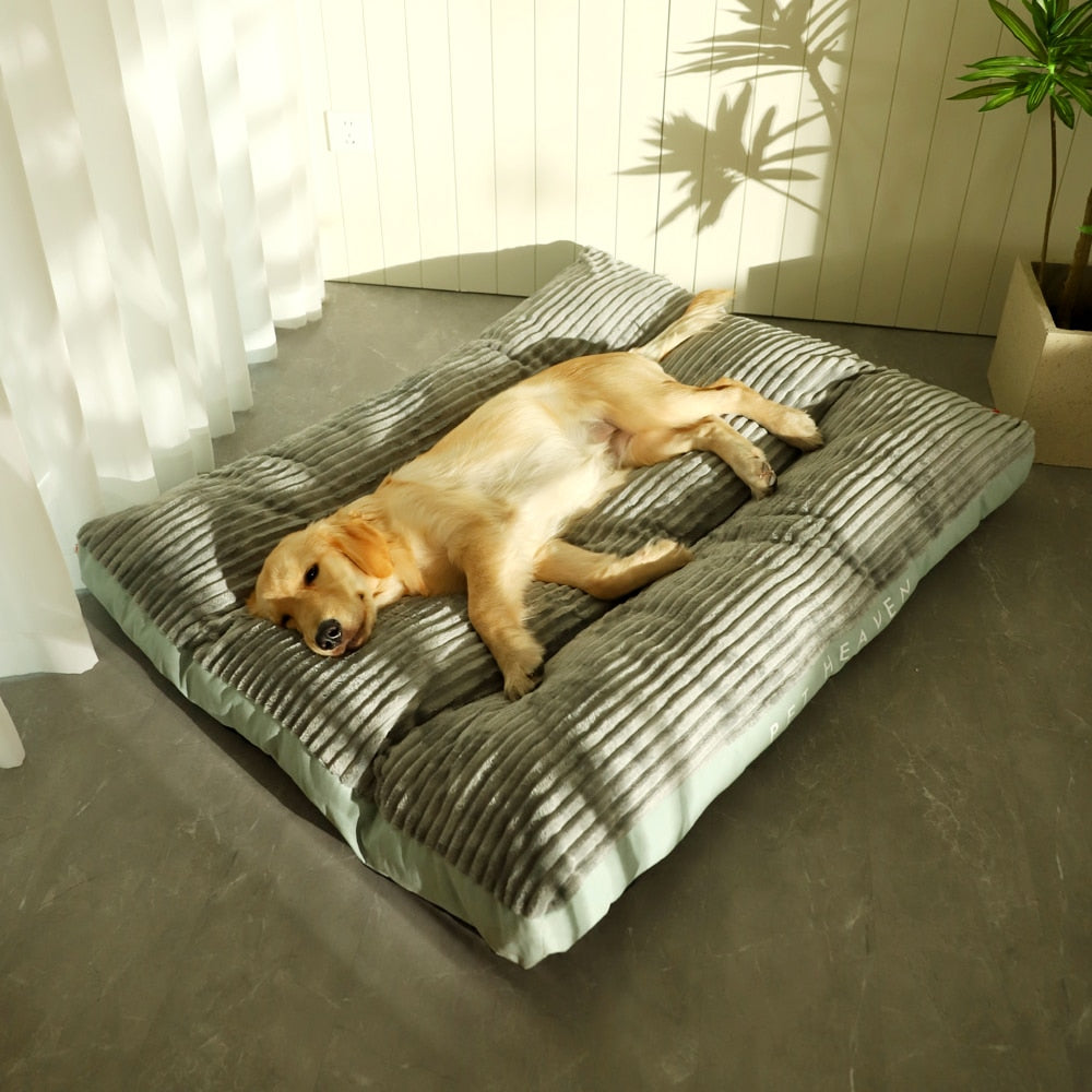 Caminha Pet Heaven