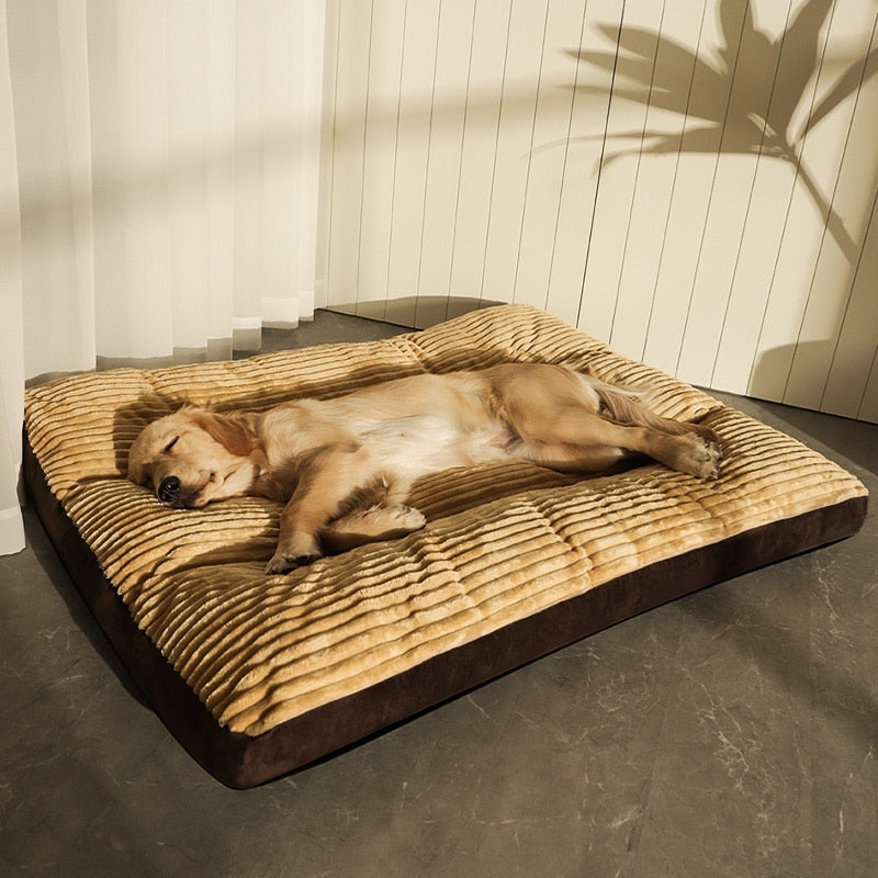 Caminha Pet Heaven