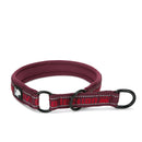 Coleira Truelove Robust