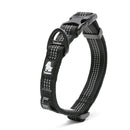 Coleira Truelove Neoprene®