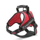 Peitoral Truelove Chest