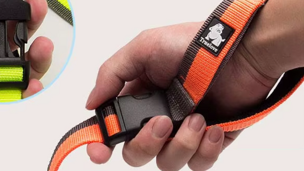 Top 5 Guias para Shiba Inu em 2025: Praticidade e Controle para Cães Cheios de Energia