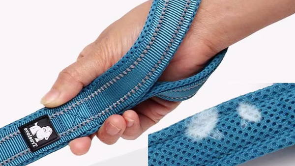 Mão segurando a alça acolchoada de uma guia azul