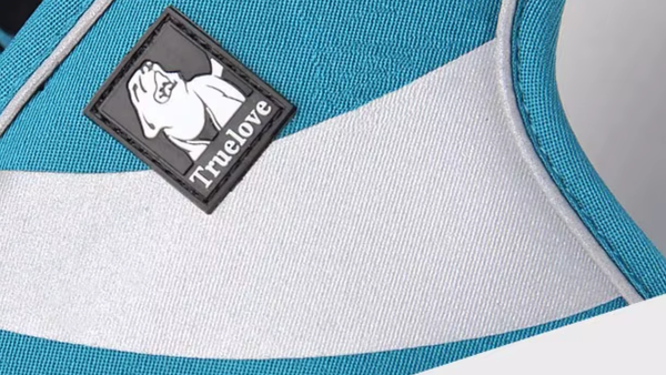 Top 7 Melhores Coleiras para Blue Heeler em 2025: Controle, Conforto e Resistência