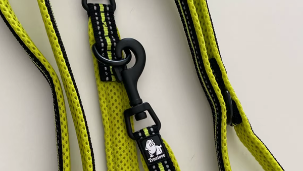 Top 5 Guias para Fox Paulistinha em 2025: Leveza e Controle para Passeios Ativos