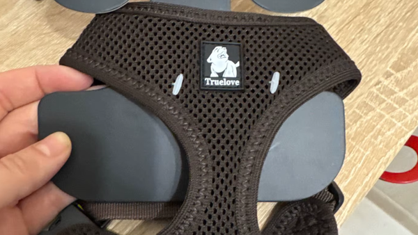 Top 5 Coleiras para Fox Paulistinha em 2025: Agilidade e Conforto em Cada Movimento