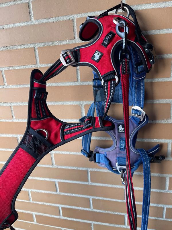 Peitorais vermelho e azul pendurados na parede de tijolos