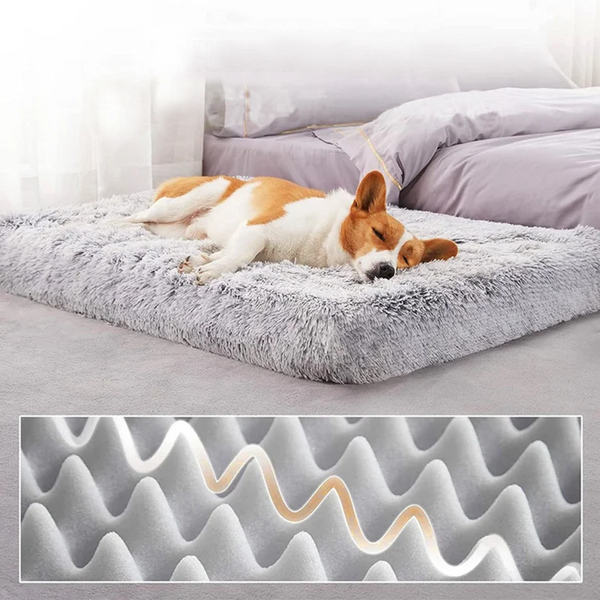 Corgi dormindo em cama ortopédica cinza com espuma em destaque