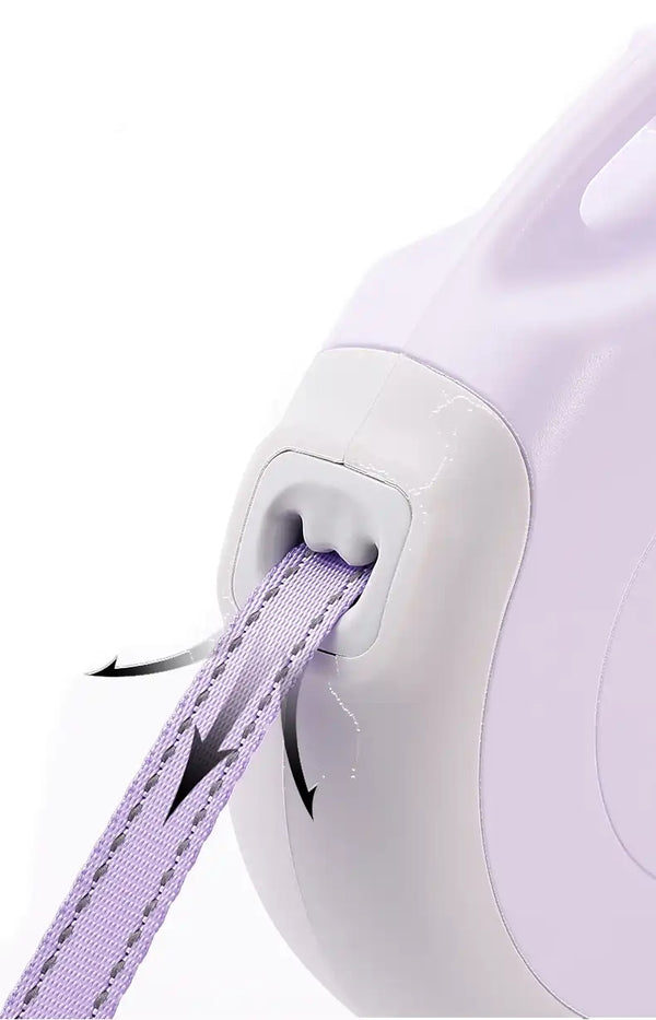 Guias para Shar Pei em 2025: Resistência e Leveza para um Cão Tranquilo