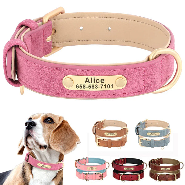 Coleira rosa com plaquinha de nome e beagle usando a coleira