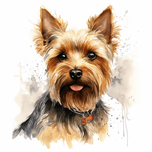 Ilustração em aquarela de yorkshire terrier