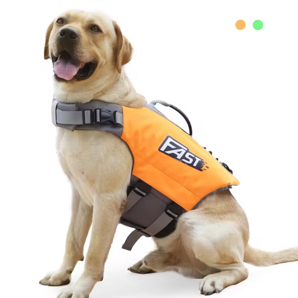 Labrador usando colete salva-vidas laranja