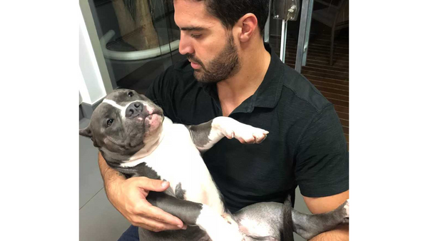 Homem segurando bulldog francês no colo
