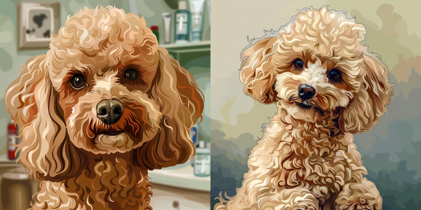 Dois retratos de poodle toy caramelo