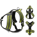 Peitoral Truelove Robust Flúor