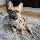 Peitoral Truelove Upgrade Cinza