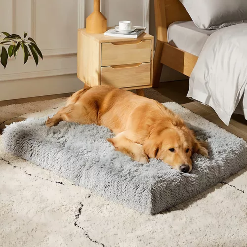 Cama King Pet - Dormdog