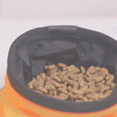 Case Truelove Camping